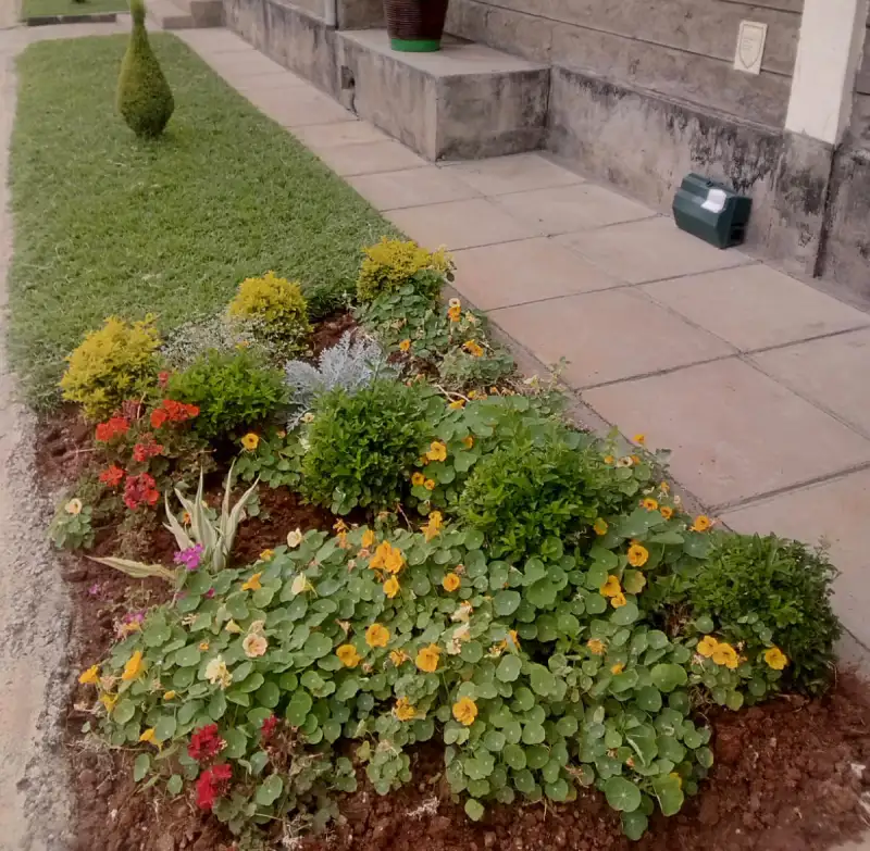 Landscaping & Gardening