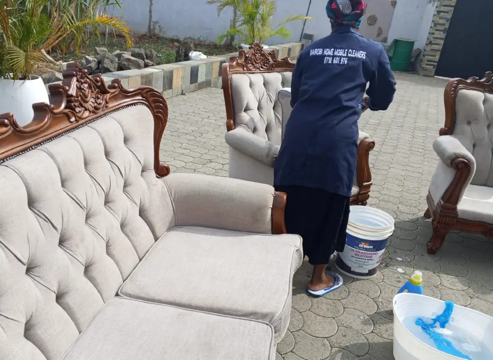 Sofa Cleaning